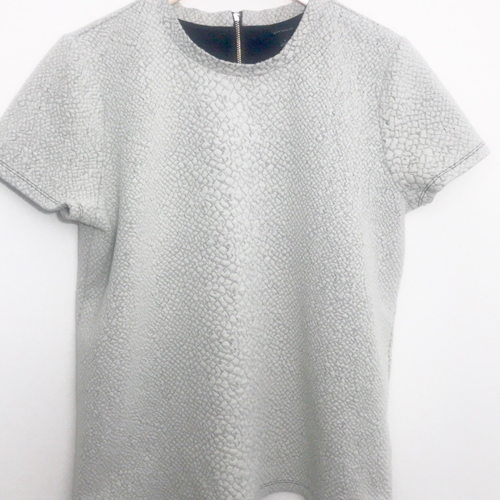 |Ann Taylor| Light Gray Pebbled Blouse Size Large